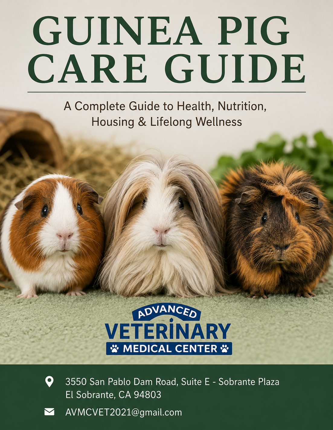 Guinea Pig Care Guide cover from Advanced Veterinary Medical Center