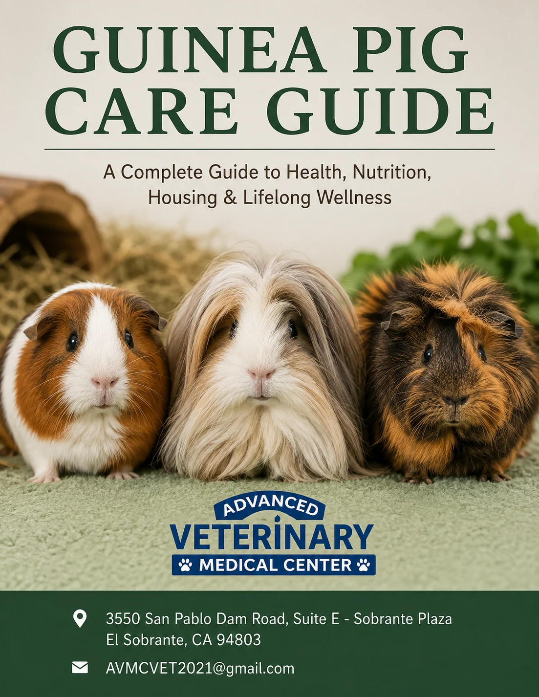 Guinea Pig Care Guide cover from Advanced Veterinary Medical Center
