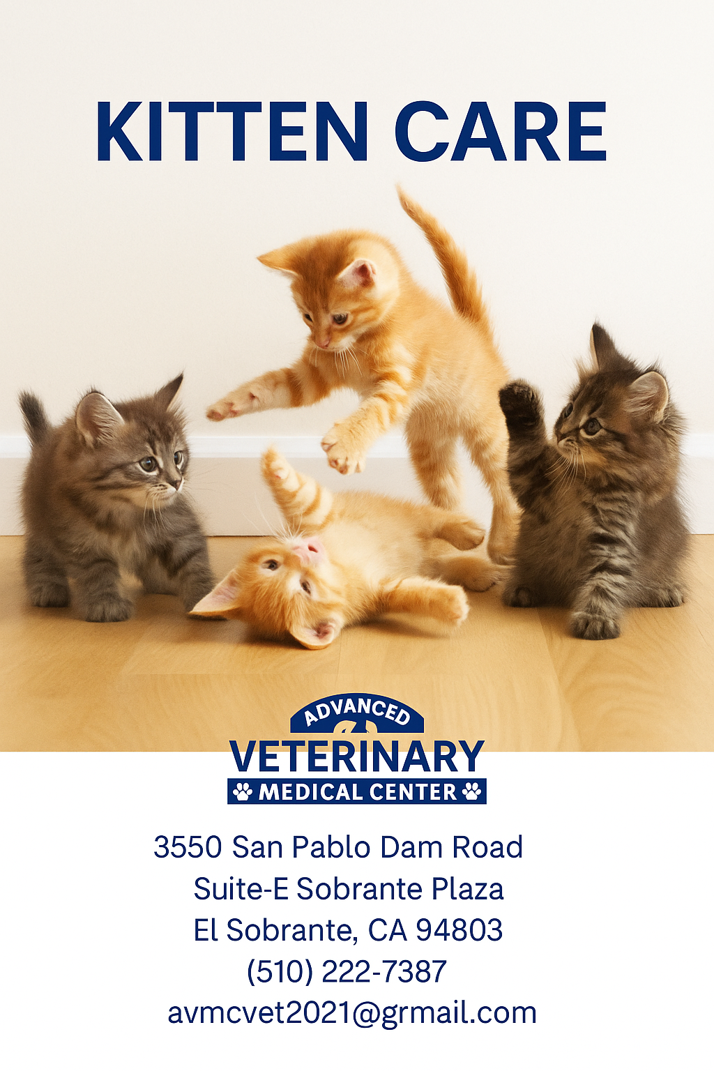 Kitten Care pamphlet cover from Advanced Veterinary Medical Center
